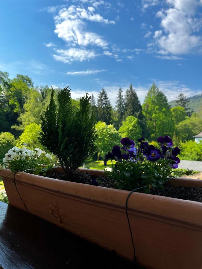 Park Villa Zentral Am Mittelrhein - Zimmer & Apartments Boppard Zewnętrze zdjęcie